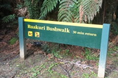 Interesting-Signs-NZ-8