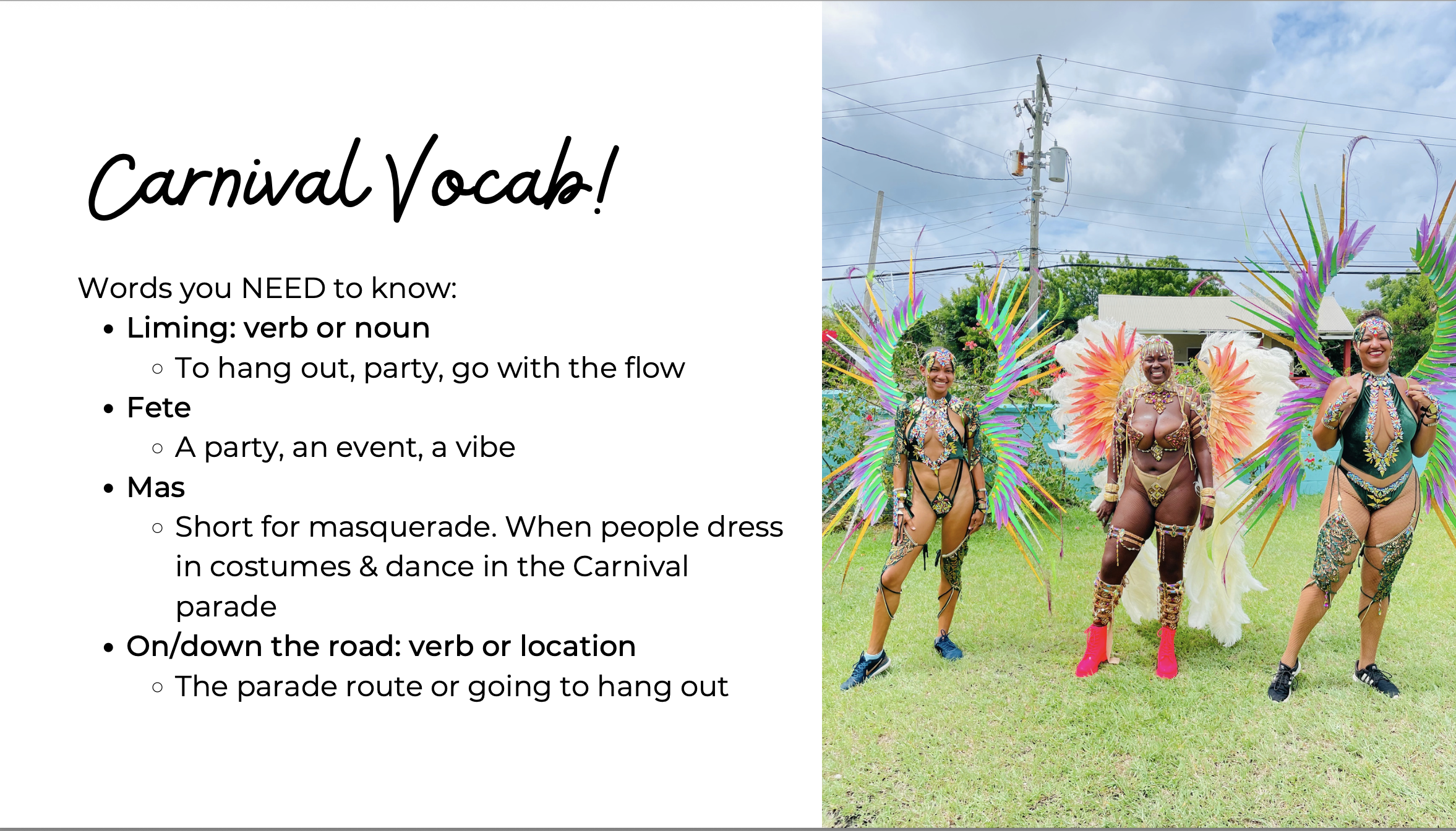 Antigua Carnival 2026 Travel Guide: Insider Tips for First-Time Visitors - Image 5